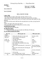 Thiết kế bài dạy tổng hợp lớp 4 - Tuần 9 năm 2009