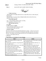 Giáo án lớp 6 môn học Sinh học - Tuần 16 - Tiết 32 - Bài 28: Cấu tạo và chức năng của hoa