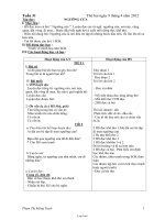 Kế hoạch bài dạy khối 1 (chuẩn kiến thức kĩ năng) - Tuần 31