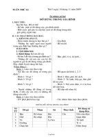 Kế hoạch dạy học các môn khối 2 - Tuần 12 năm học 2009