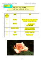 Giáo án Lớp 3 Tuần 15 - Thứ 4, 5, 6 - Trường Tiểu học Lý Thường Kiệt