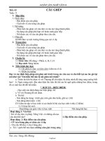 Giáo án Ngữ văn 8 tiết 43: Câu ghép - Giáo viên: Lương Thị Phương