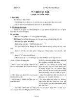 Thiết kế giáo án môn Tự nhiên xã hội lớp 2 - Tuần 5 - Bài: Cơ quan tiêu hóa