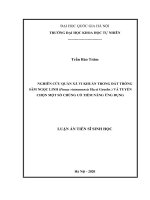 Nghiên cứu quần xã vi khuẩn trong đất trồng sâm ngọc linh panax vietnamensis ha et grushv và tuyển chọn một số chủng có tiềm năng ứng dụng 