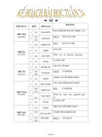 Kế hoạch giảng dạy lớp 1 - Tuần 24