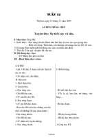 Kế hoạch dạy học lớp 2 - Tuần 12 năm 2009