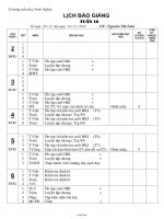 Bài soạn các môn khối 2 - Tuần 18 - Nguyễn Thị Lâm