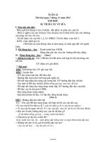 Kế hoạch giảng dạy các môn lớp 2 - Tuần 12 năm 2011