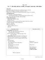 Giáo án lớp 1, tuần 13 môn Tập viết - Bài 11: Nền nhà, nhà in, cá biển, yên ngựa, cuộn dây, vườn nhãn