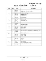 Giáo án giảng dạy các môn học lớp 1 - Tuần dạy 1