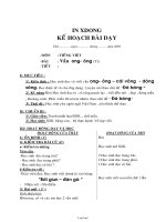 Giáo án Tiếng việt 1: Vần ong- ông