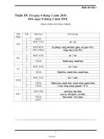 Kế hoach bài dạy môn học lớp 1 - Tuần học 19 năm 2010