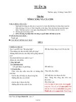 Giáo án Tổng hợp lớp 2 - Tuần số 26 (chi tiết)