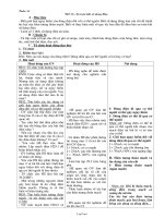 Giáo án Vật lý khối 7 tiết 33: An toàn khi sử dụng điện