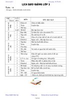 Giáo án Lớp 3 Tuần 6 - Trường tiểu học Nguyễn Bá Ngọc