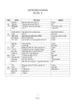 Giáo án các môn lớp 2 (buổi sáng) - Tuần lễ 4