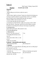 Thiết kế bài dạy các môn lớp 2 - Tuần 12