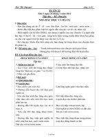 Giáo án Lớp 3 Tuần 22 - Bùi Thị Nguyệt