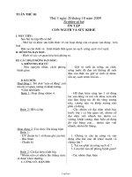 Kế hoạch dạy học các môn khối 2 - Tuần 10 năm học 2009