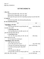 Giáo án Tự nhiên xã hội 1 - Tuần 1 đến tuần 8