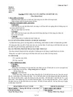 Giáo án Chính tả 2 tiết 41: Chim sơn ca và bông cúc trắng