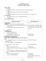 Giáo án Tự nhiên xã hội 2 tuần 5: Cơ quan tiêu hóa