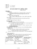 Bài giảng môn học Ngữ văn lớp 7 - Tuần 23 - Tiết 85: Sự giàu đẹp của tiếng Việt (Tiếp theo)