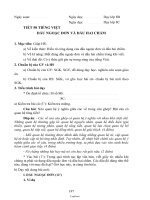 Giáo án Ngữ văn 8 tiết 50 bài 13: Tiếng Việt: Dấu ngoặc đơn và dấu hai chấm