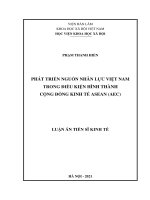 PHÁT TRIỂN NGUỒN NHÂN lực VIỆT NAM TRONG điều KIỆN HÌNH THÀNH CỘNG ĐỒNG KINH tế ASEAN (AEC)