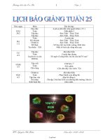 Giáo án Lớp 2 tuần 25 - Trường tiểu học Ea Bá