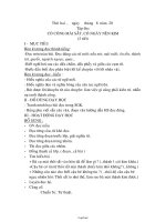 Giáo án bổ sung môn học lớp 2