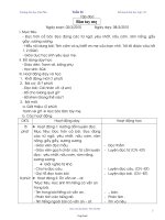 Kế hoạch bài dạy khối 1 - Tuần 26 năm 2010