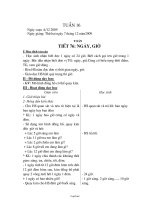 Giáo án lớp 2 - Tuần 16 năm 2009