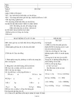 Giáo án môn học Vật lí 6 - Tuần 9 - Tiết 9: Ôn tập
