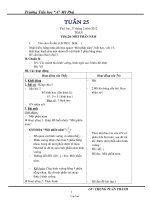 Giáo án Tổng hợp các môn khối 2 - Trường tiểu học A Mỹ Phú - Tuần 25