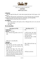 Giáo án các môn học khối 2 năm 2010 - Tuần số 29