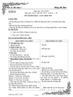 Giáo án Âm nhạc 3 tuần 13: Ôn tập bài hát: Con chim non