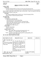 Giáo án dạy Vật lý khối 7 bài 8: Gương cầu lõm