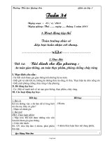 Bài soạn Tổng hợp lớp 2 - Tuần 8 - Trường tiểu học Nguyễn Du