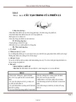 Giáo án lớp 6 môn học Sinh học - Tuần 12 - Tiết 22 - Bài 20: Cấu tạo trong của phiến lá