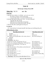 Giáo án các môn học khối 2 - Tuần 10 - Trường:Tiểu học Mỹ Phúc