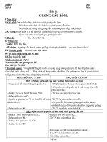 Giáo án Vật lý 7 Bài 8: Gương cầu lõm