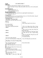 Giáo án lớp 1 môn Tự nhiên xã hội - Cây sống ở đâu