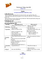 Giáo án môn học lớp 2 - Tuần lễ 30 năm 2010