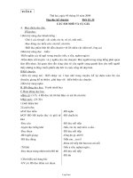 Giáo án Tiếng việt khối 3 tuần 8