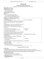 Thiết kế bài dạy các môn lớp 2 năm 2010 - 2011 - Tuần 29