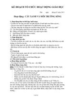 Kế hoạch tổ chức hoạt động giáo dục - Hoạt động: Cây xanh và môi trường sống