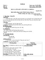 Giáo án môn học lớp 2 - Tuần lễ 33 (chi tiết)