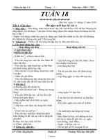 Giáo án Lớp 3 Tuần 18 - Trường Tiểu học Hải Khê