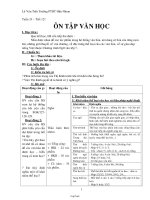 Giáo án môn Ngữ văn khối 7 - Tiết 121: Ôn tập văn học